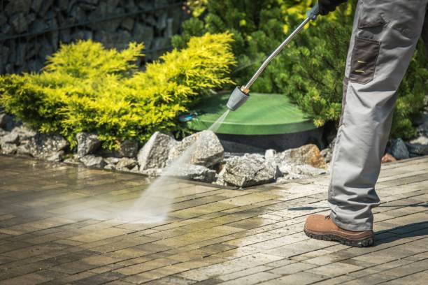 Best Post-Construction Pressure Washing  in Encinal, TX