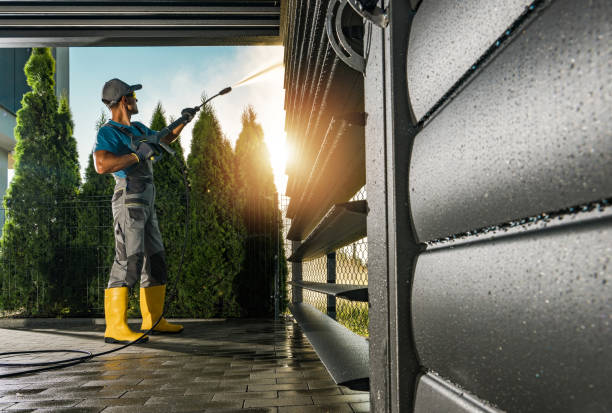 Best Building Exterior Washing  in Encinal, TX