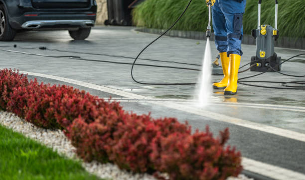 Best Restaurant Pressure Washing  in Encinal, TX